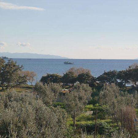 Mina'S Studios In Naxos Island Agios Prokopios  Ngoại thất bức ảnh